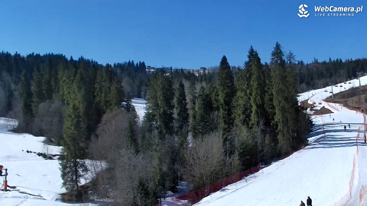 Kotelnica Białczańska - Remiaszów - 09 marzec 2026, 10:50