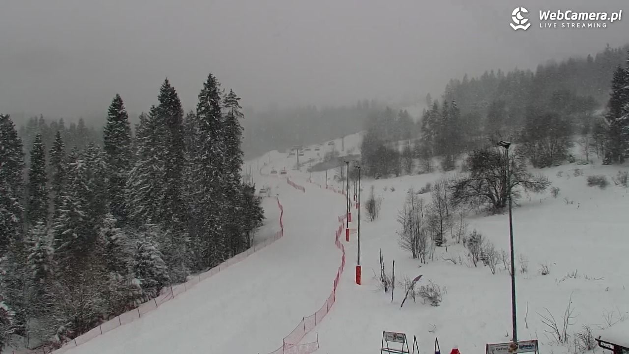 Kotelnica Białczańska - Remiaszów - 11 styczeń 2026, 08:44