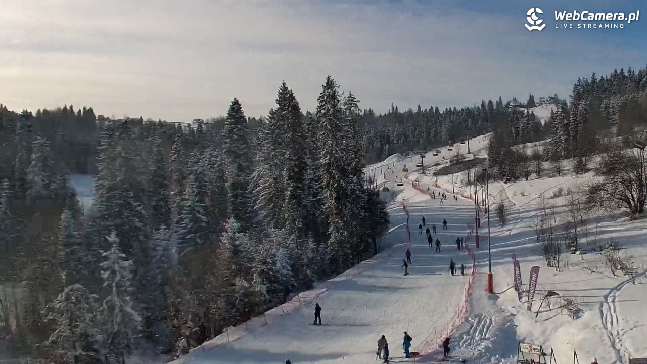 Kotelnica Białczańska - Remiaszów - 09 styczeń 2026, 12:38