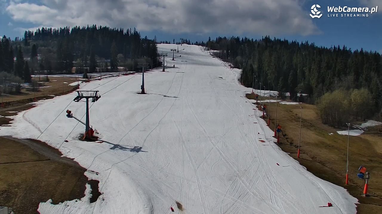 Kotelnica Białczańska - Remiaszów - 10 kwiecień 2026, 10:44