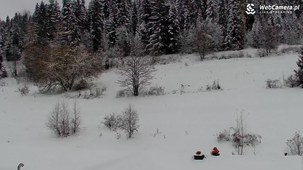 Kotelnica Białczańska - Remiaszów - 27 listopad 2025, 11:20