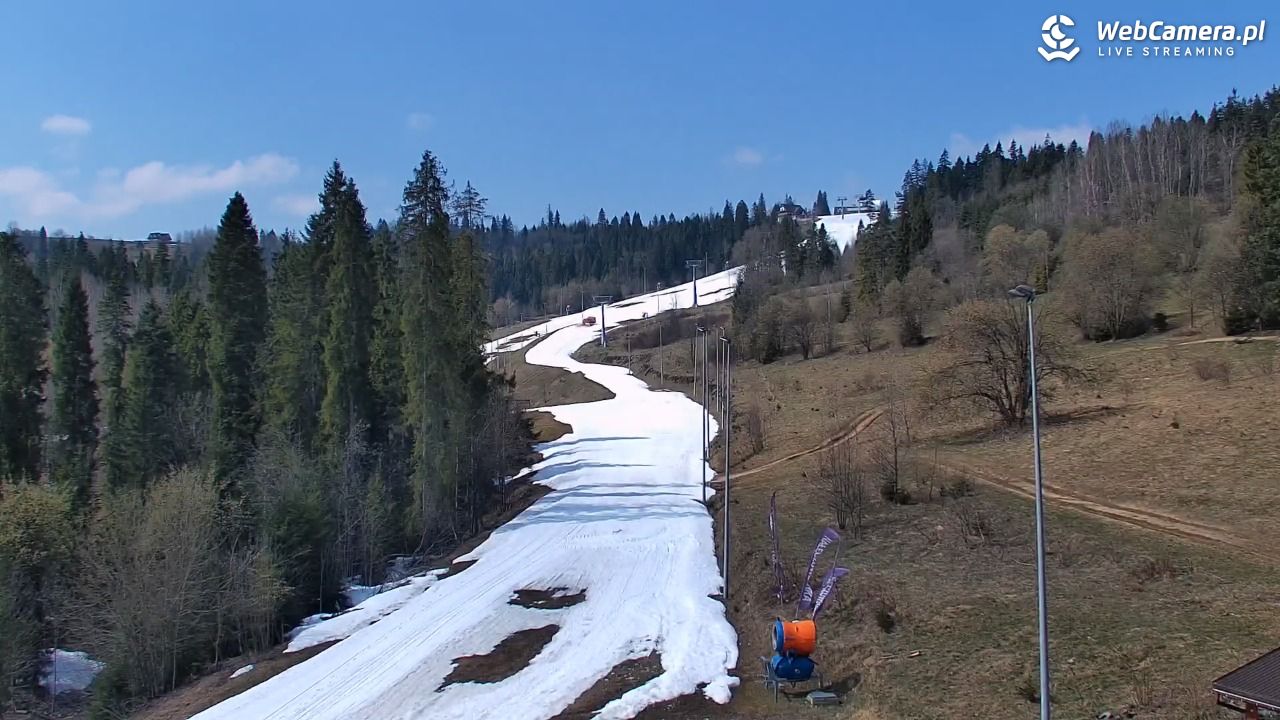 Kotelnica Białczańska - Remiaszów - 11 kwiecień 2026, 12:14