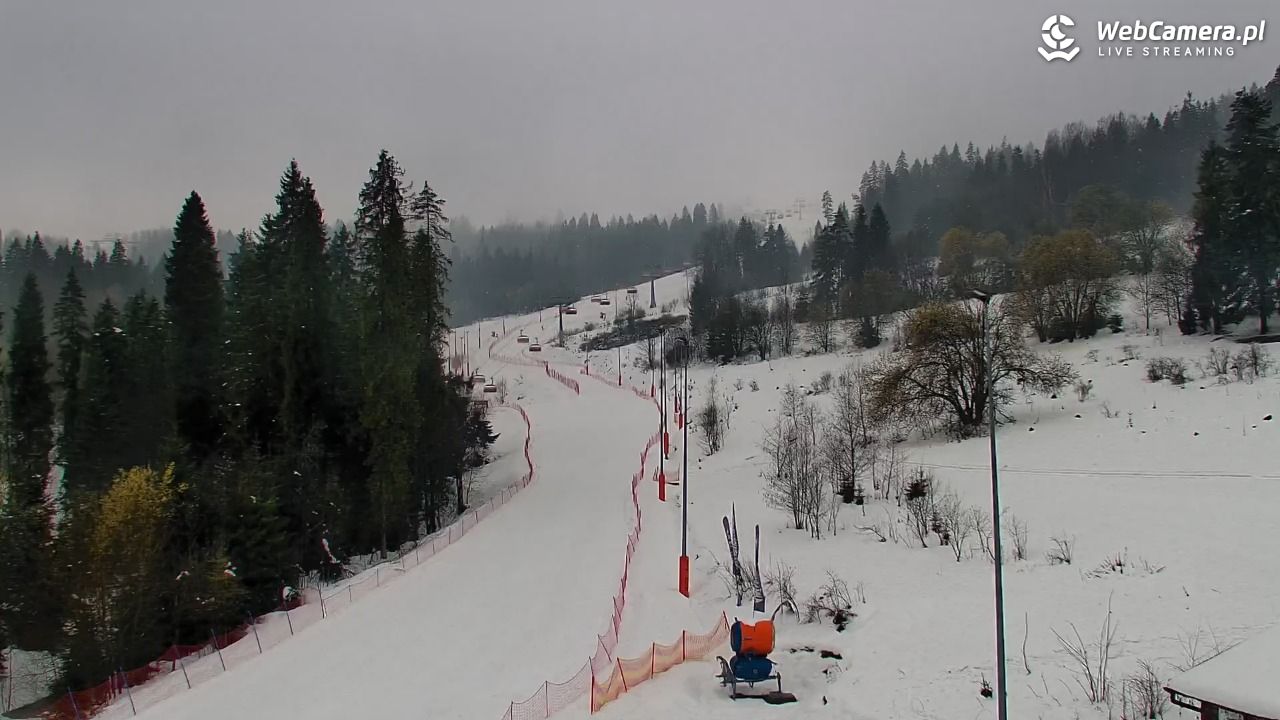 Kotelnica Białczańska - Remiaszów - 29 marzec 2026, 16:09