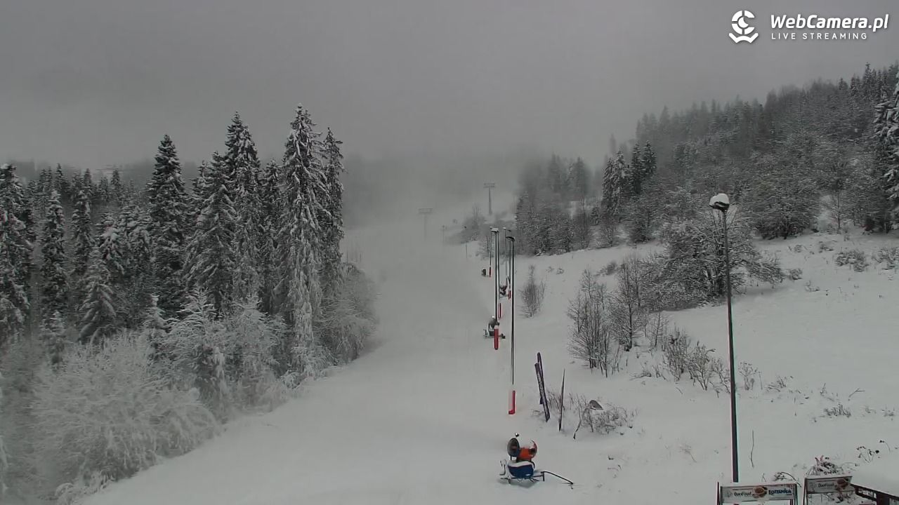 Kotelnica Białczańska - Remiaszów - 23 listopad 2025, 12:31