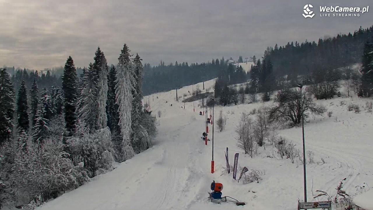 Kotelnica Białczańska - Remiaszów - 29 listopad 2025, 12:02