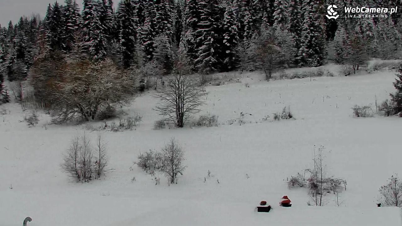 Kotelnica Białczańska - Remiaszów - 27 listopad 2025, 08:09