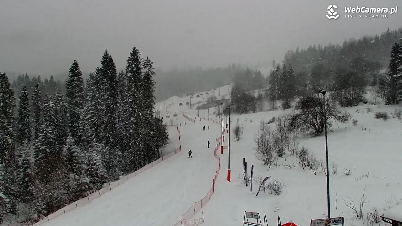 Kotelnica Białczańska - Remiaszów - 11 styczeń 2026, 10:06