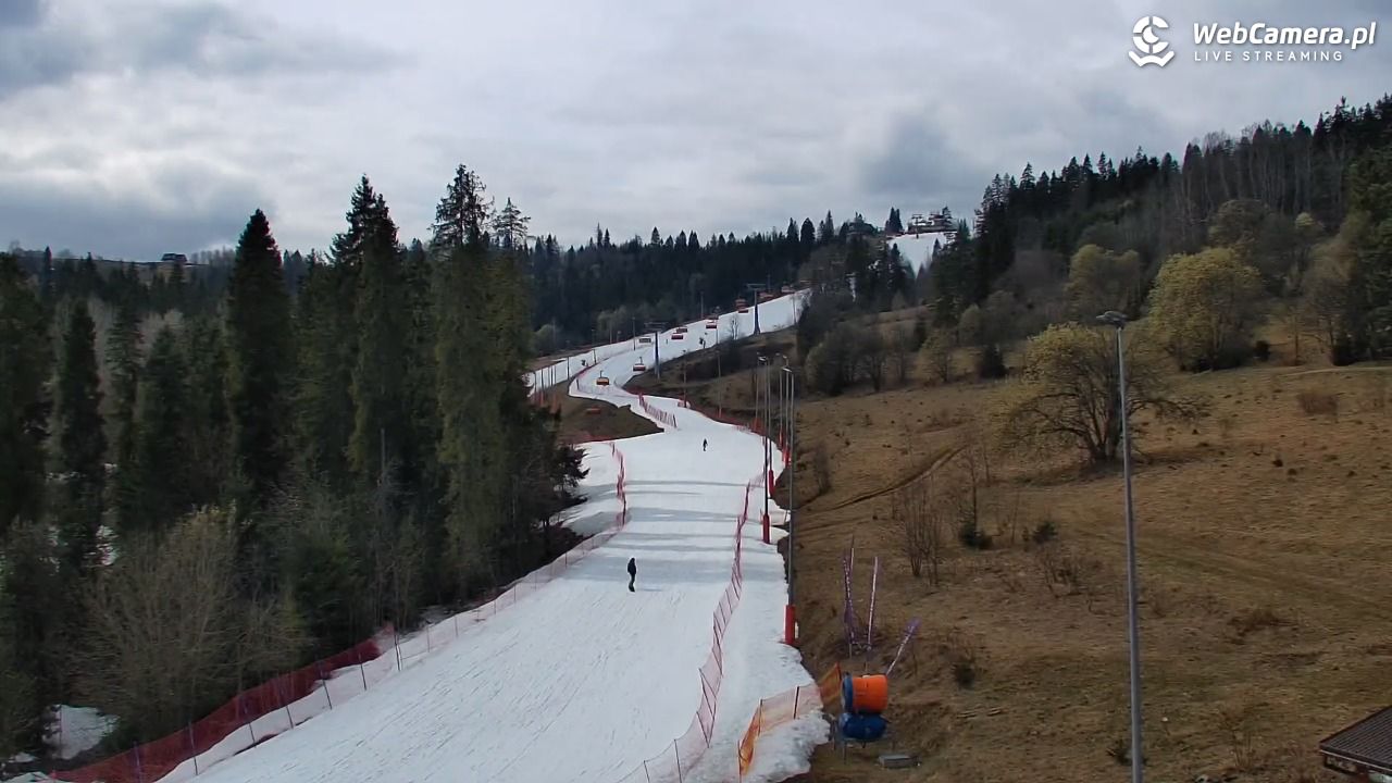 Kotelnica Białczańska - Remiaszów - 19 marzec 2026, 12:41