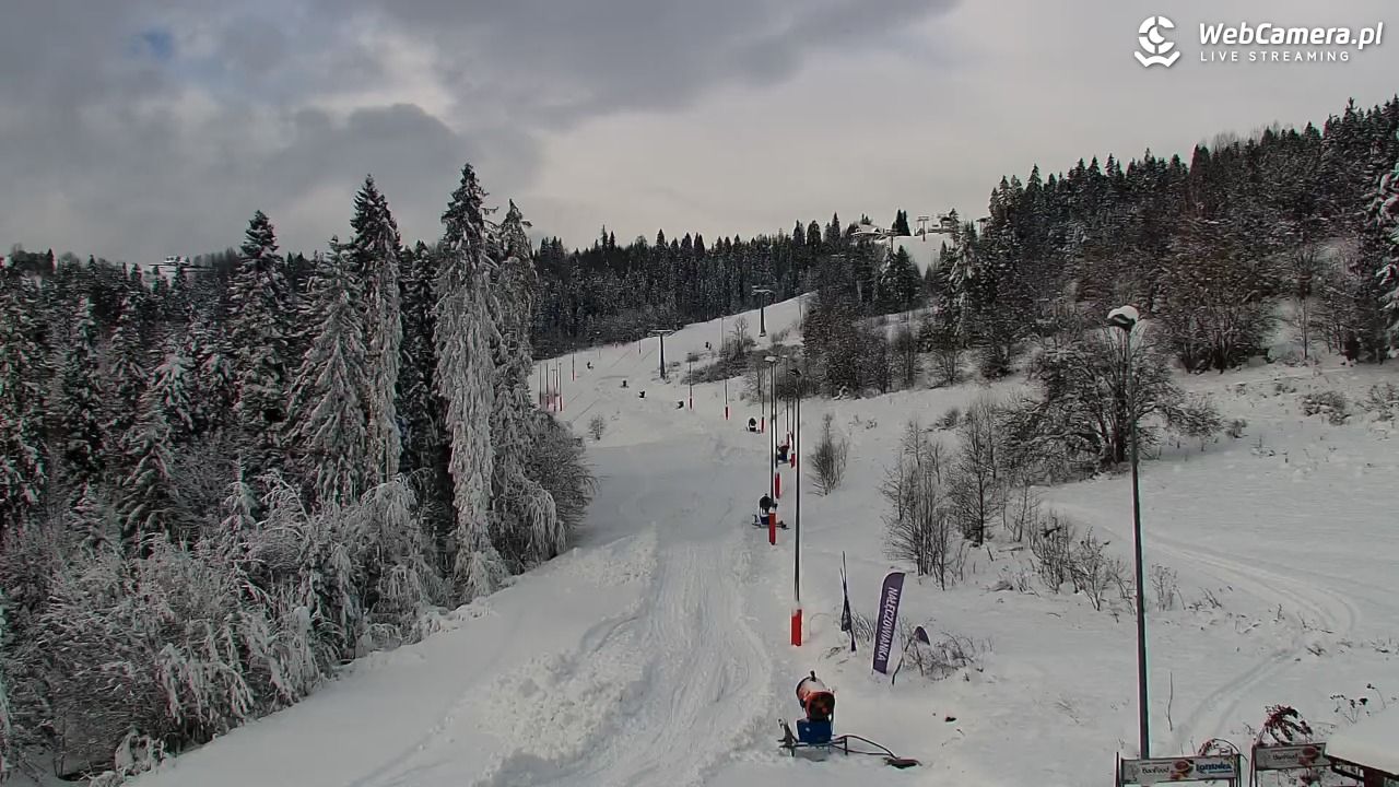 Kotelnica Białczańska - Remiaszów - 25 listopad 2025, 10:01