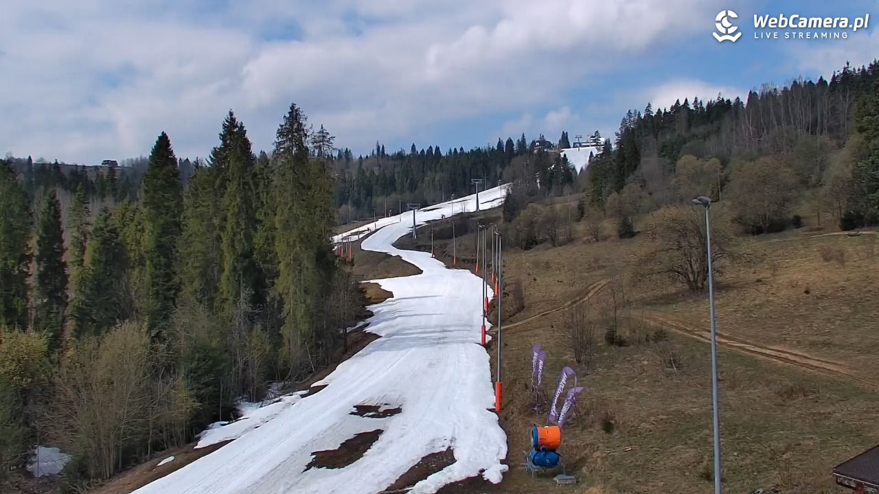 Kotelnica Białczańska - Remiaszów - 11 kwiecień 2026, 10:53