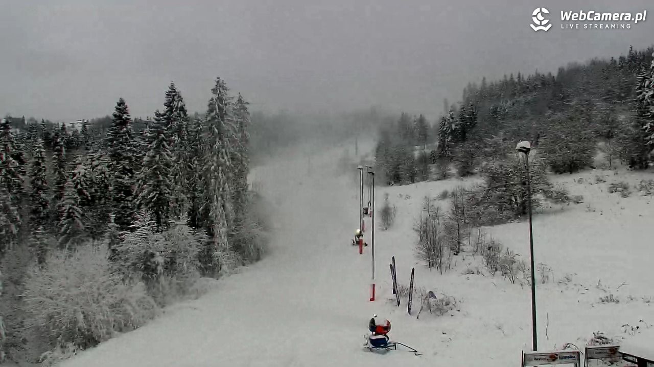 Kotelnica Białczańska - Remiaszów - 23 listopad 2025, 15:34