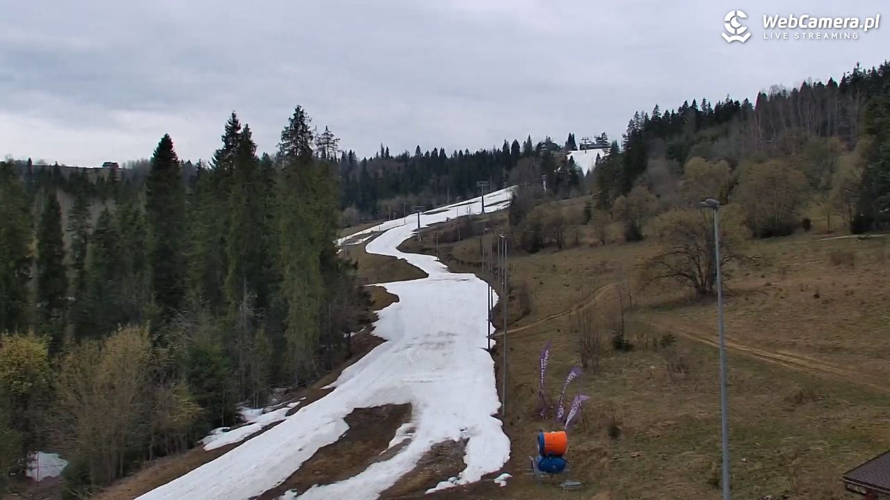 Kotelnica Białczańska - Remiaszów - 13 kwiecień 2026, 12:49