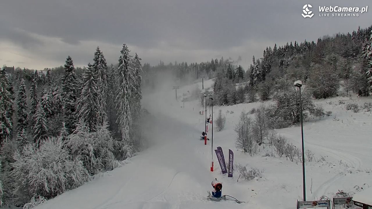 Kotelnica Białczańska - Remiaszów - 24 listopad 2025, 09:36