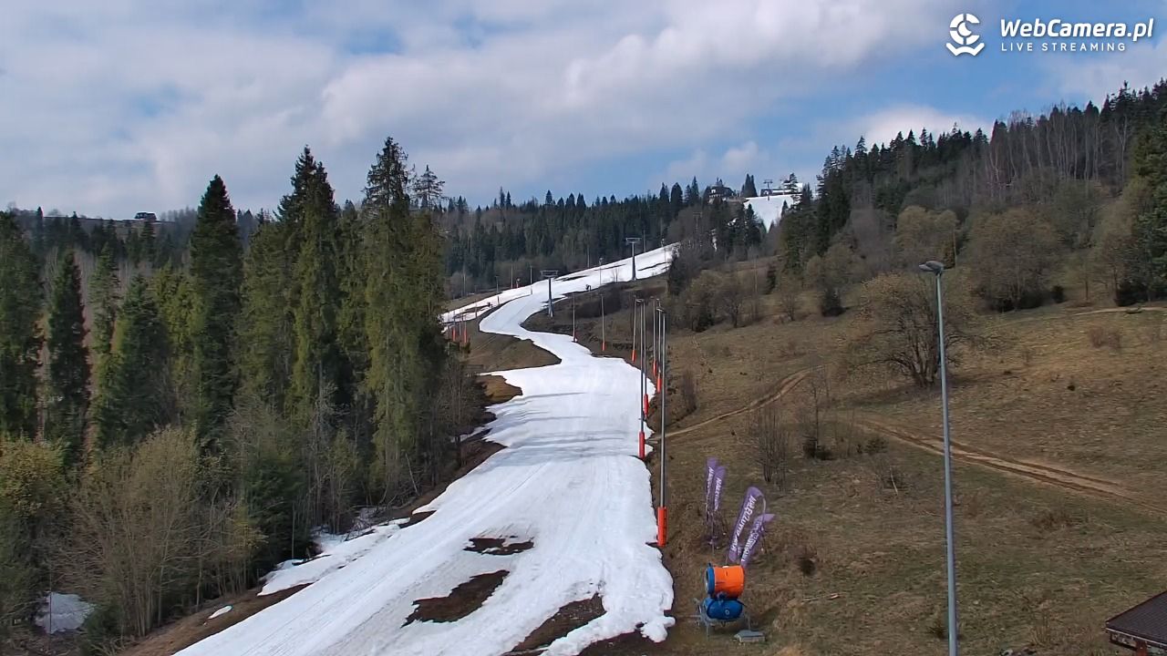 Kotelnica Białczańska - Remiaszów - 11 kwiecień 2026, 10:53