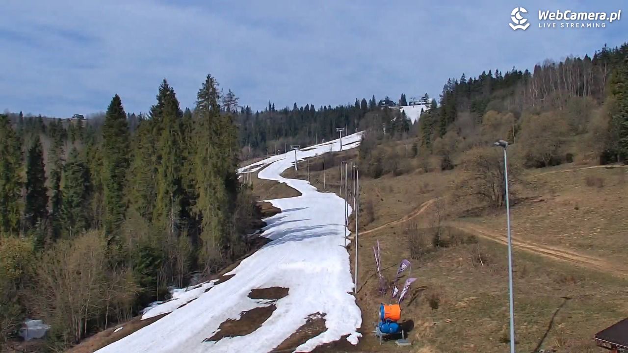 Kotelnica Białczańska - Remiaszów - 12 kwiecień 2026, 09:24