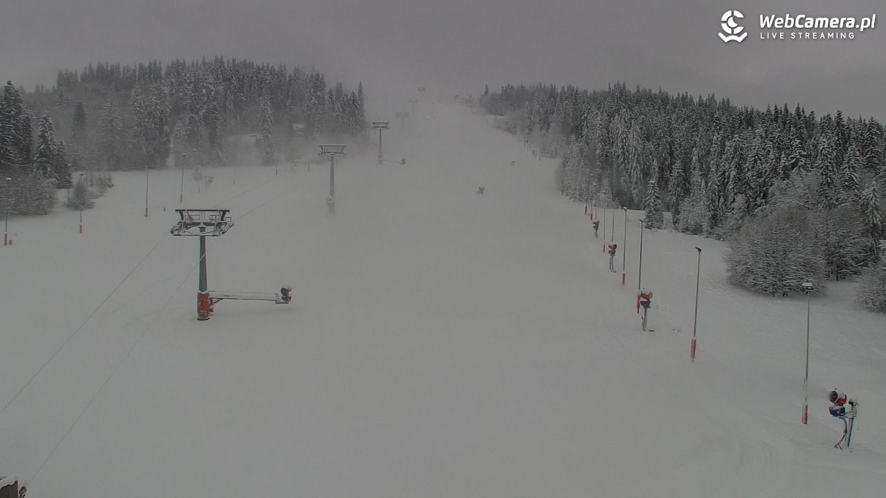 Kotelnica Białczańska - Remiaszów - 23 listopad 2025, 08:15