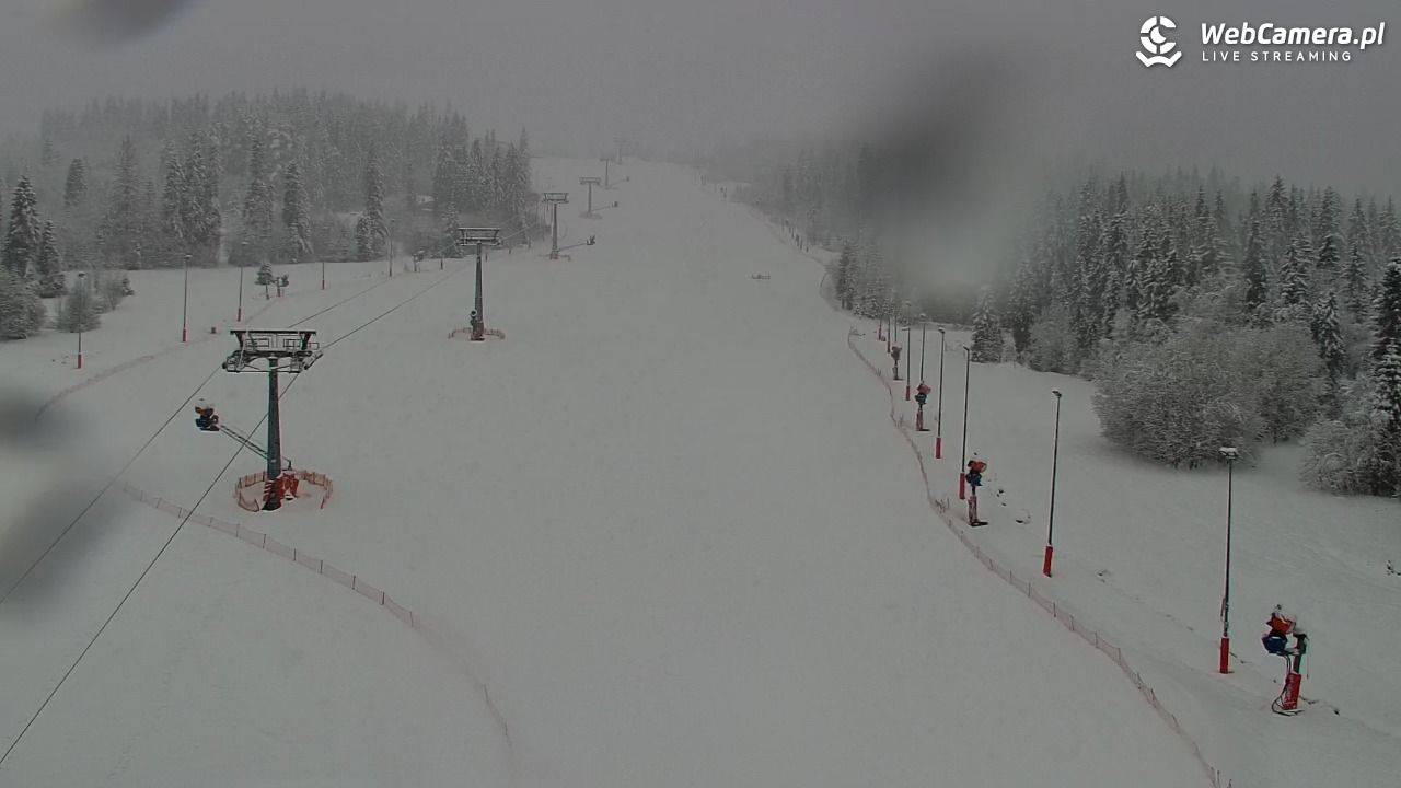 Kotelnica Białczańska - Remiaszów - 31 marzec 2026, 08:25