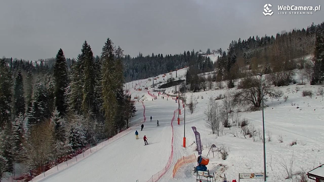 Kotelnica Białczańska - Remiaszów - 19 luty 2026, 10:00