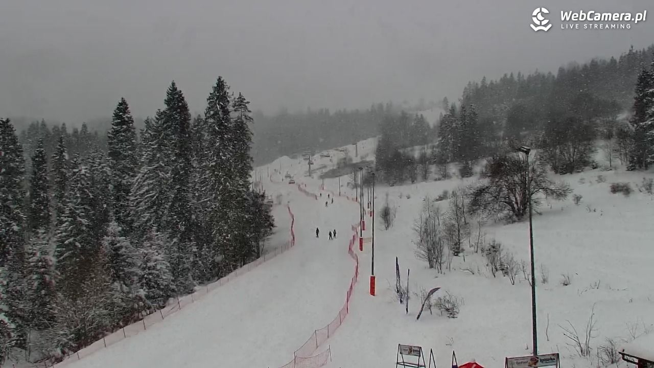 Kotelnica Białczańska - Remiaszów - 11 styczeń 2026, 10:25