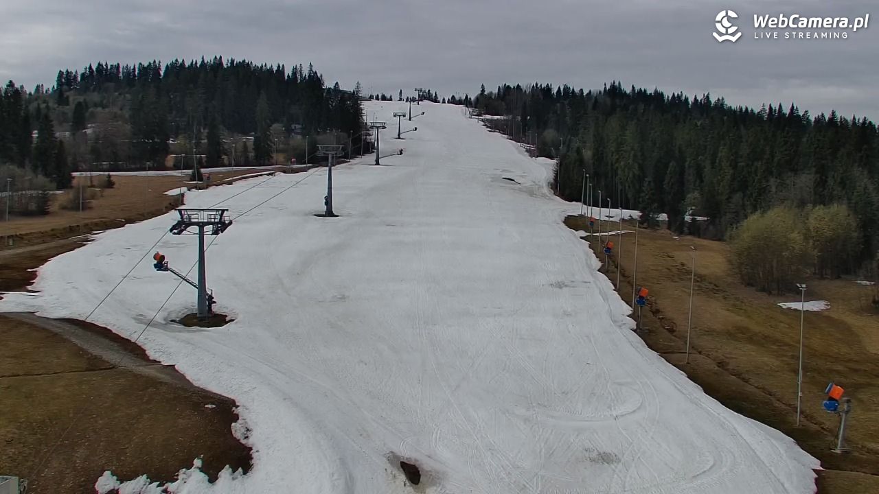 Kotelnica Białczańska - Remiaszów - 13 kwiecień 2026, 10:10