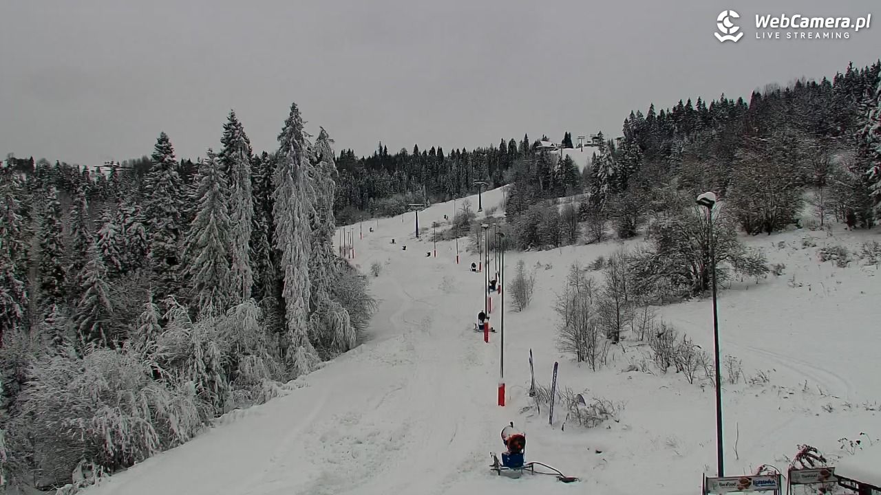 Kotelnica Białczańska - Remiaszów - 25 listopad 2025, 08:11