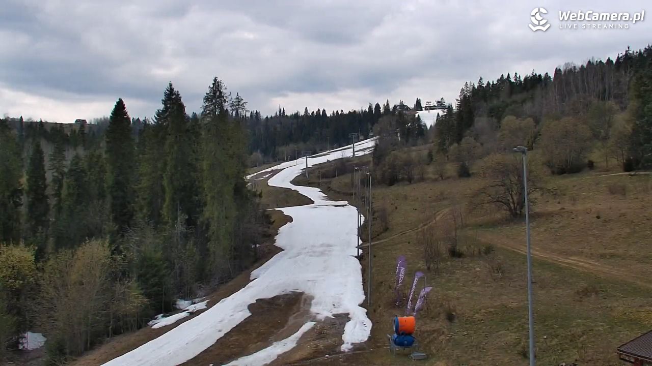 Kotelnica Białczańska - Remiaszów - 14 kwiecień 2026, 13:37