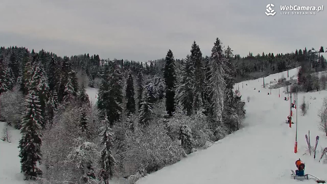Kotelnica Białczańska - Remiaszów - 27 listopad 2025, 14:40