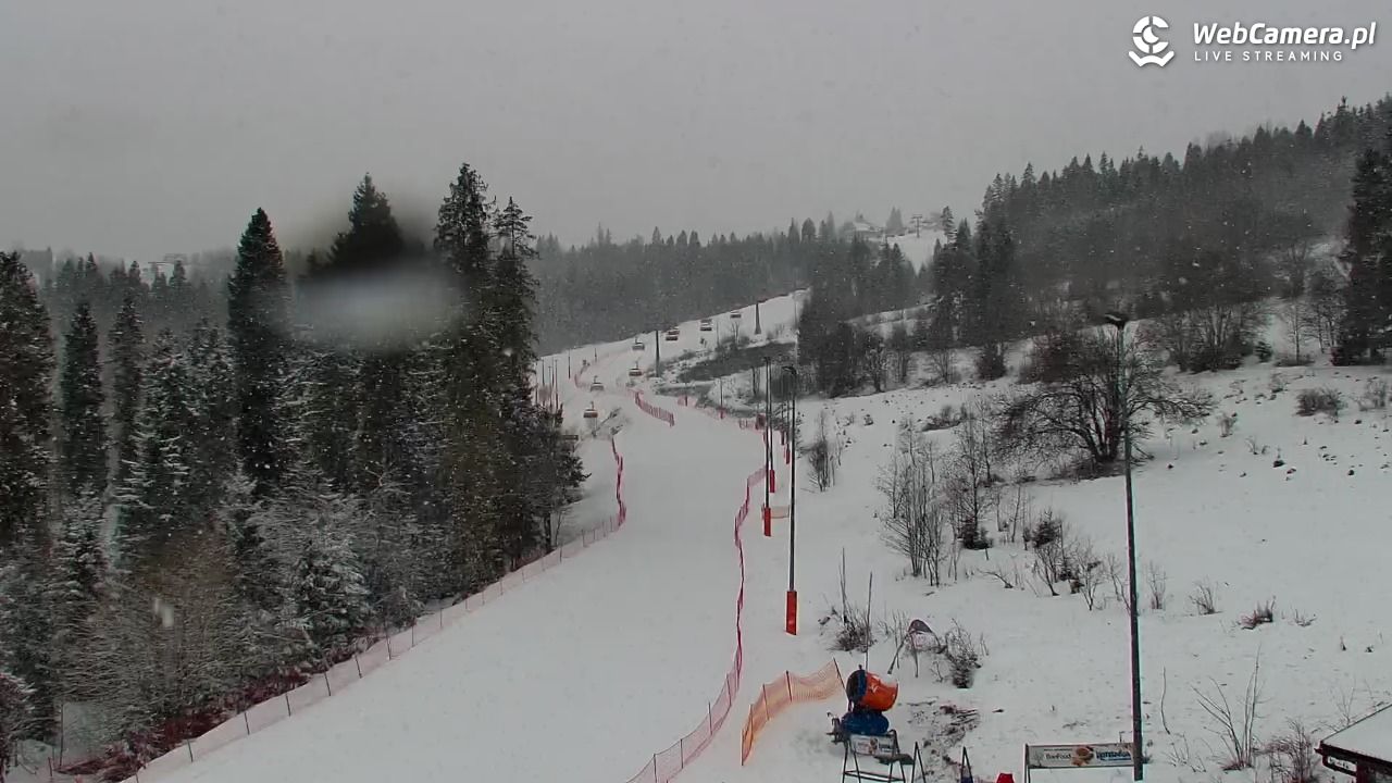 Kotelnica Białczańska - Remiaszów - 18 luty 2026, 08:54