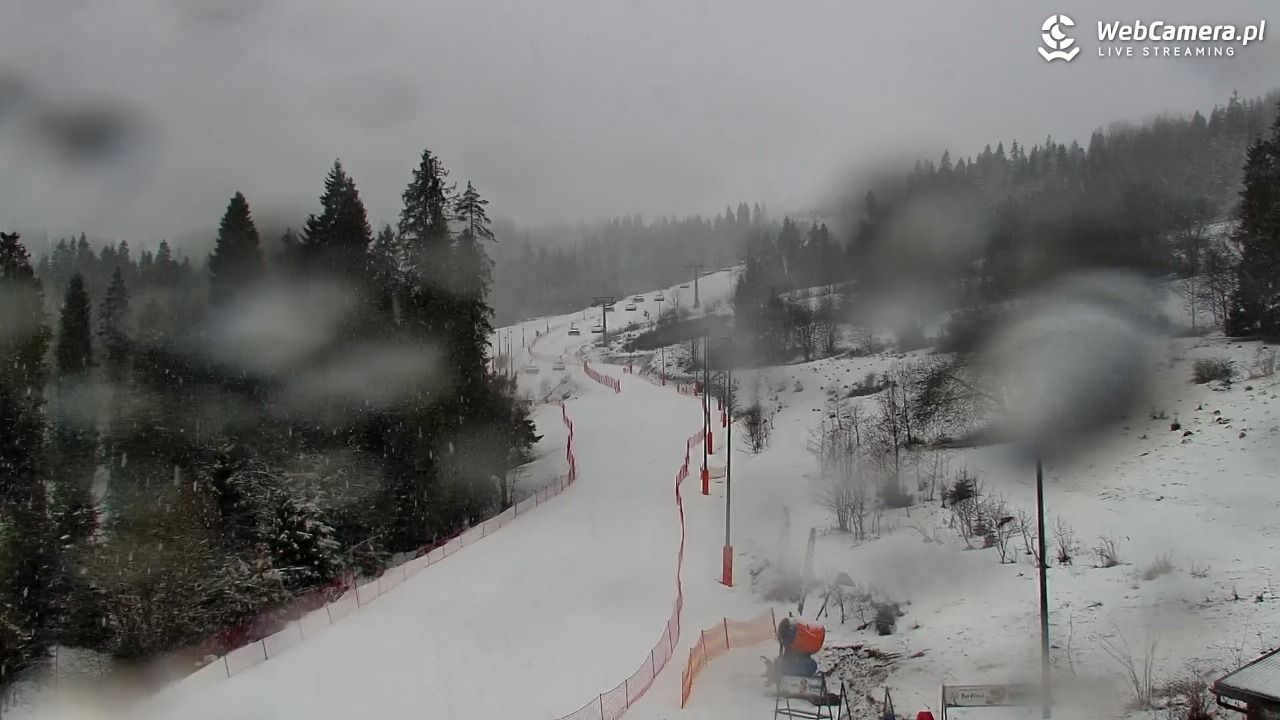 Kotelnica Białczańska - Remiaszów - 24 luty 2026, 09:08