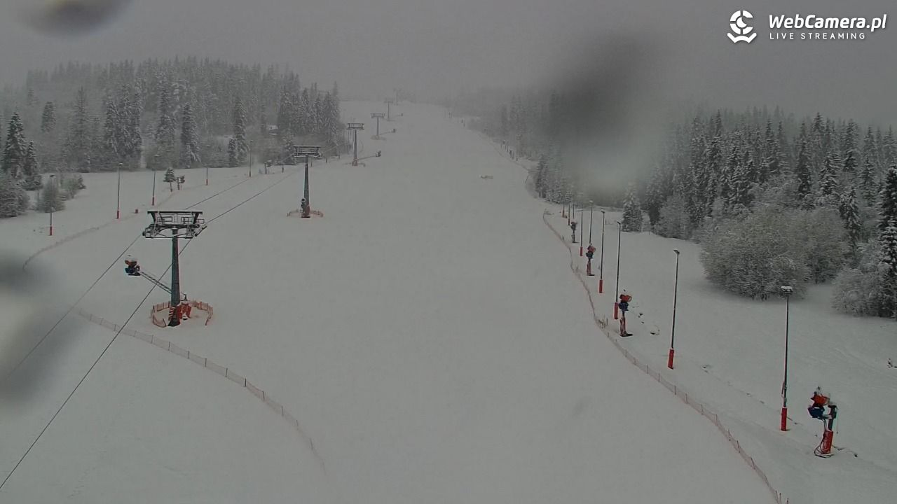 Kotelnica Białczańska - Remiaszów - 31 marzec 2026, 08:27