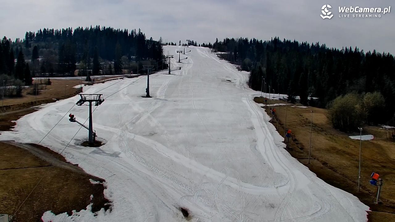 Kotelnica Białczańska - Remiaszów - 12 kwiecień 2026, 11:57