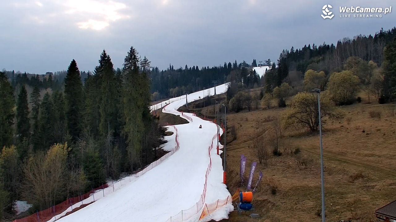 Kotelnica Białczańska - Remiaszów - 24 marzec 2026, 16:16