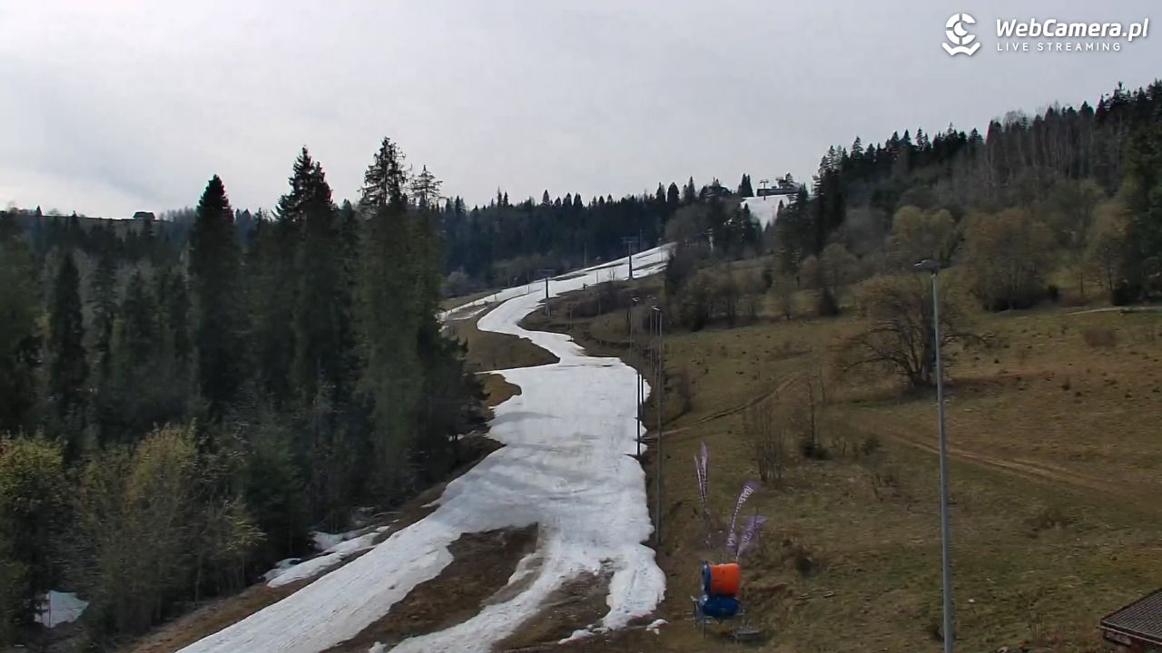 Kotelnica Białczańska - Remiaszów - 13 kwiecień 2026, 15:15