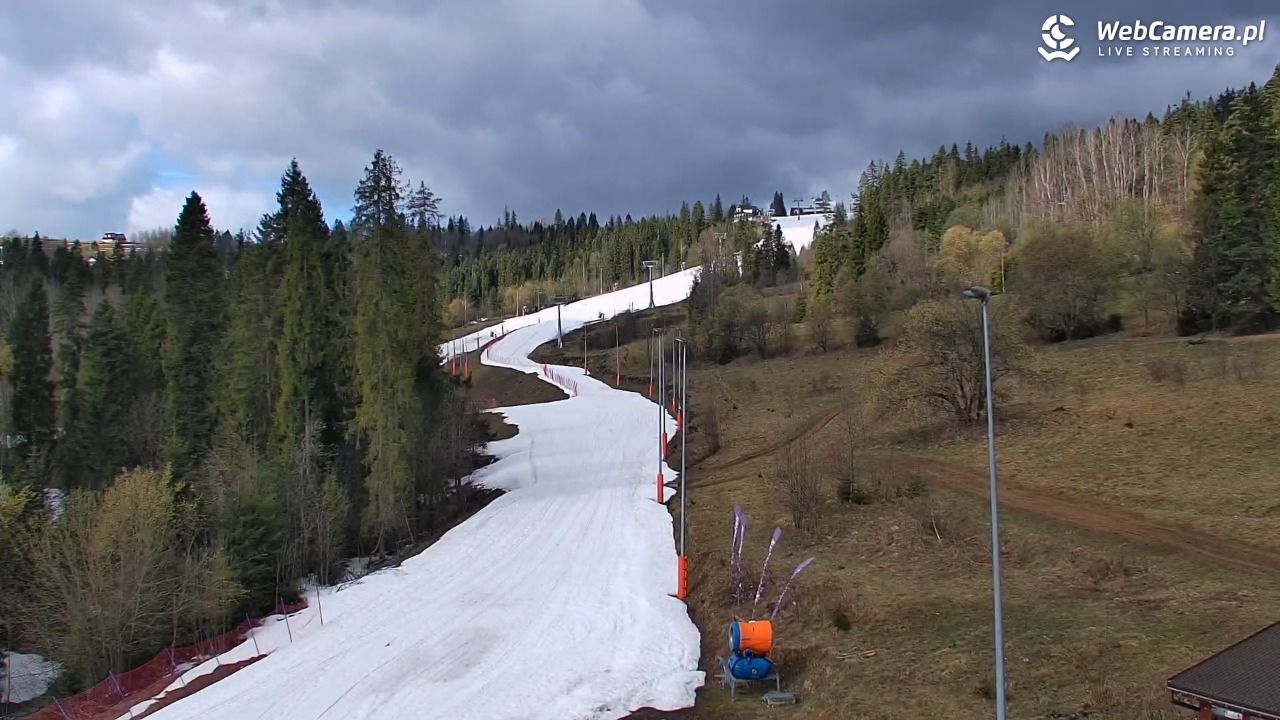 Kotelnica Białczańska - Remiaszów - 06 kwiecień 2026, 09:50