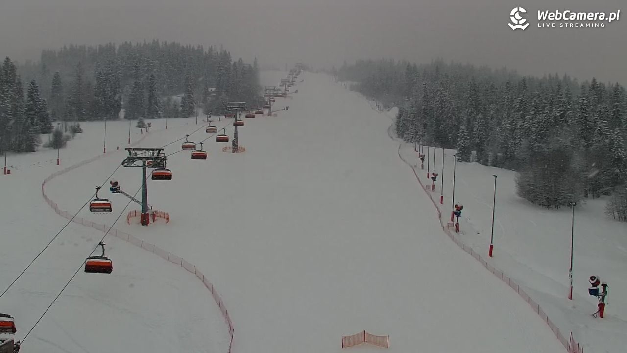 Kotelnica Białczańska - Remiaszów - 08 styczeń 2026, 08:11