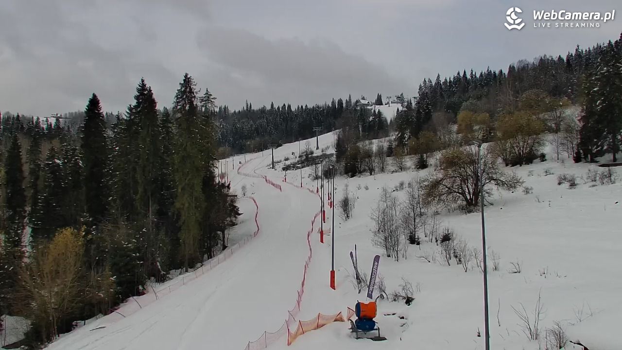 Kotelnica Białczańska - Remiaszów - 01 kwiecień 2026, 10:22