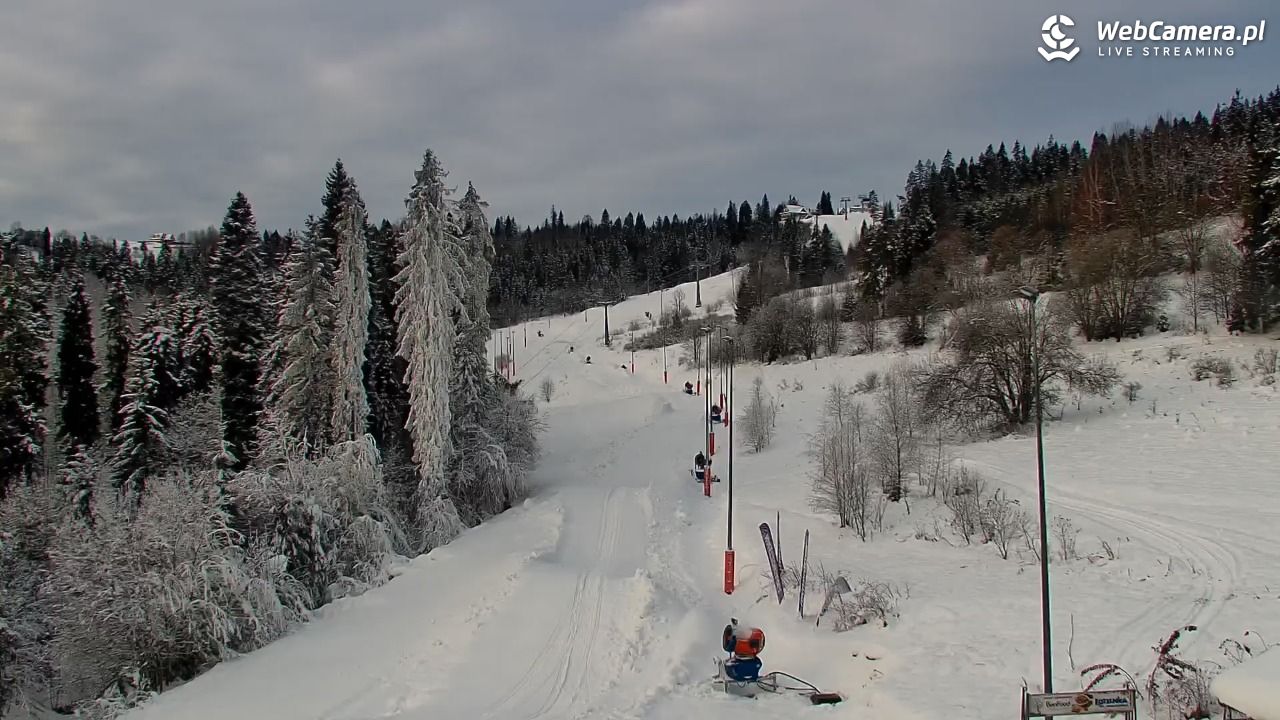 Kotelnica Białczańska - Remiaszów - 29 listopad 2025, 08:59