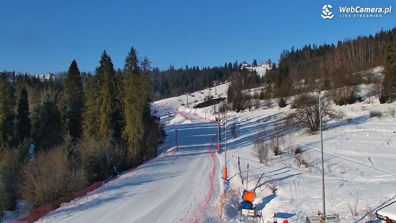 Kotelnica Białczańska - Remiaszów - 17 styczeń 2026, 09:04