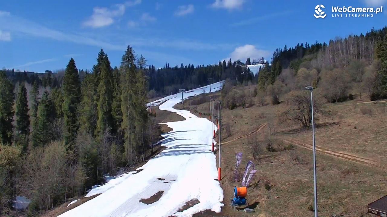 Kotelnica Białczańska - Remiaszów - 10 kwiecień 2026, 11:34