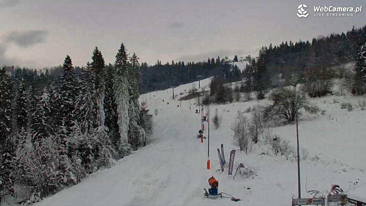 Kotelnica Białczańska - Remiaszów - 25 listopad 2025, 12:02
