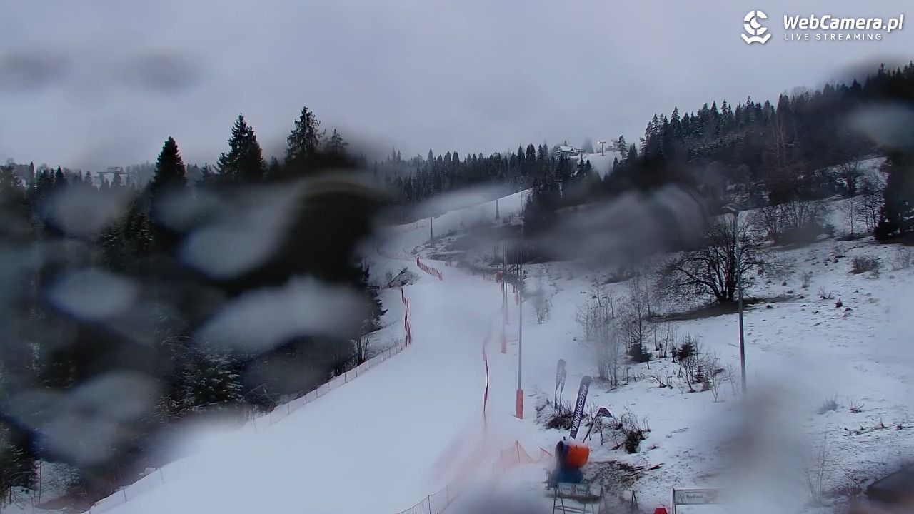 Kotelnica Białczańska - Remiaszów - 24 luty 2026, 07:00