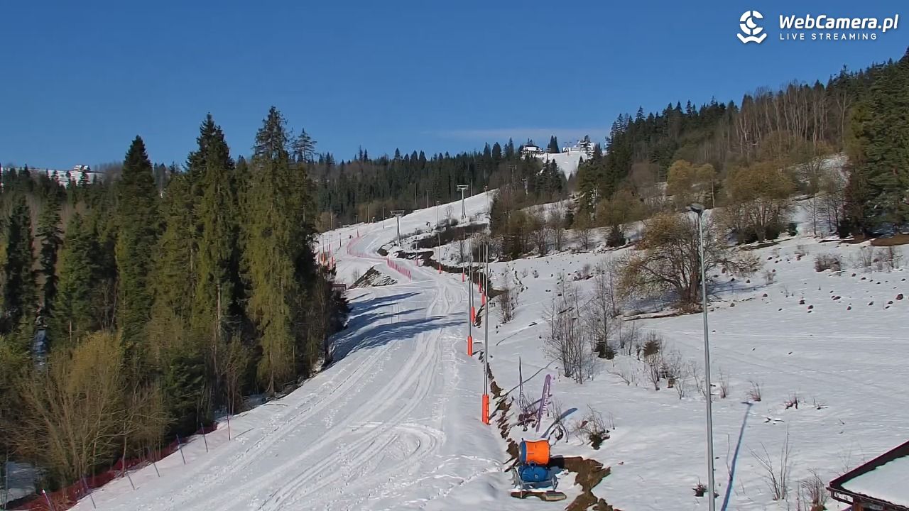 Kotelnica Białczańska - Remiaszów - 04 kwiecień 2026, 08:33