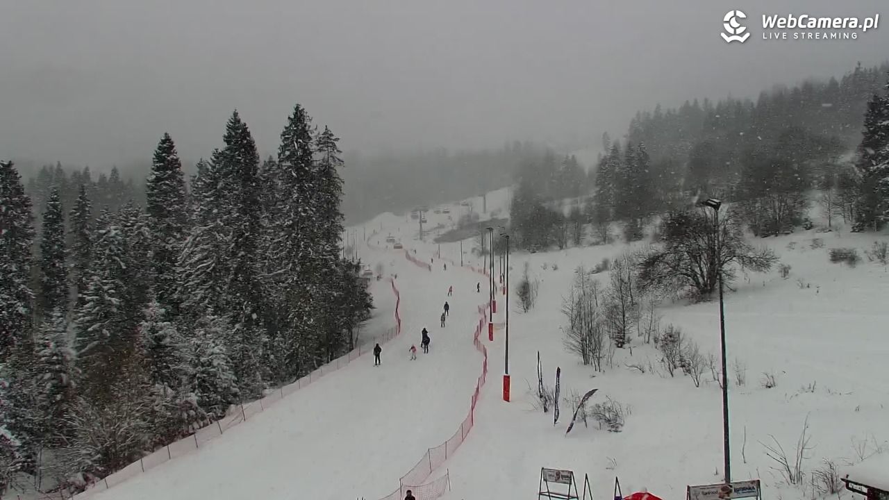 Kotelnica Białczańska - Remiaszów - 11 styczeń 2026, 10:31