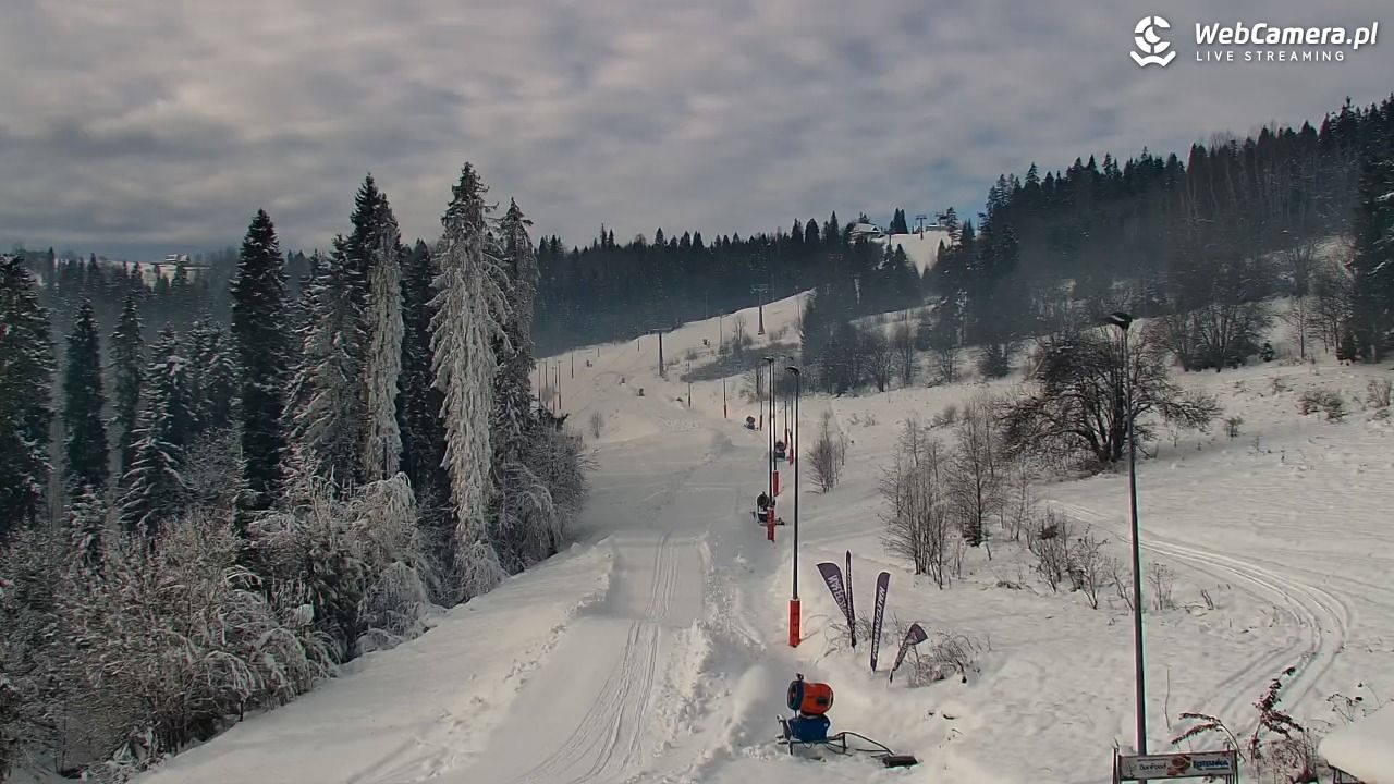 Kotelnica Białczańska - Remiaszów - 29 listopad 2025, 11:13