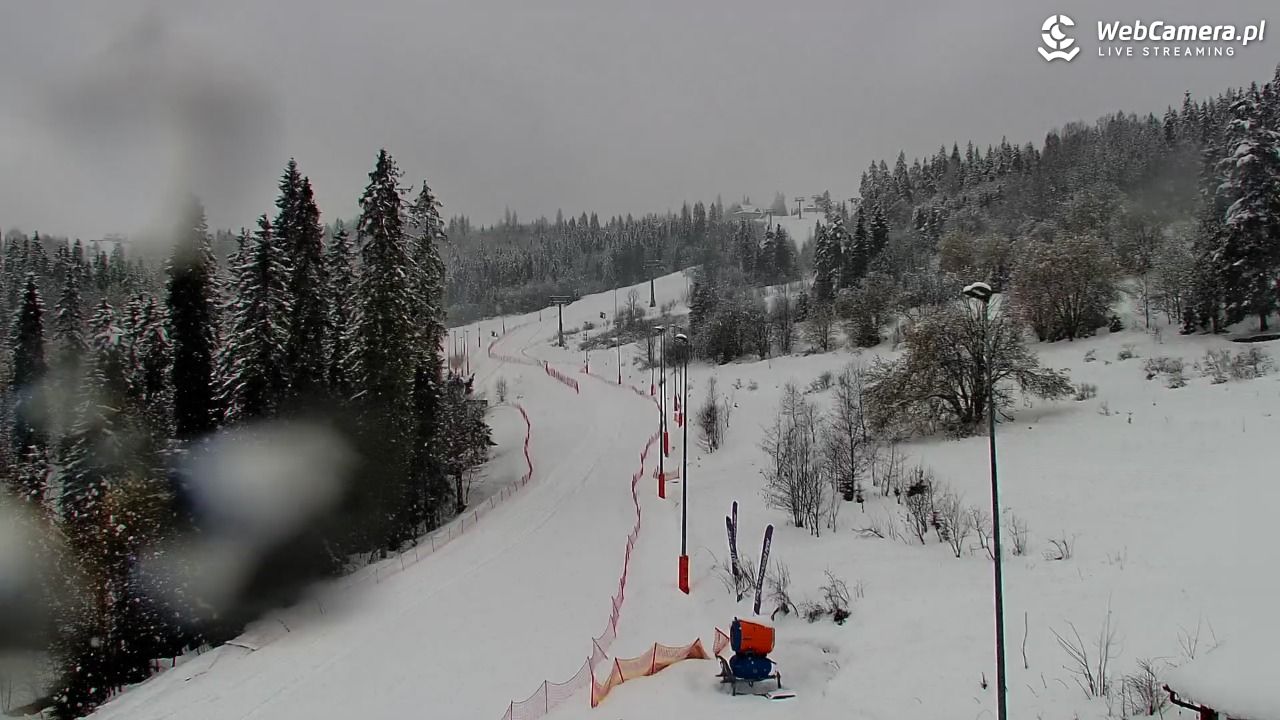 Kotelnica Białczańska - Remiaszów - 31 marzec 2026, 13:55