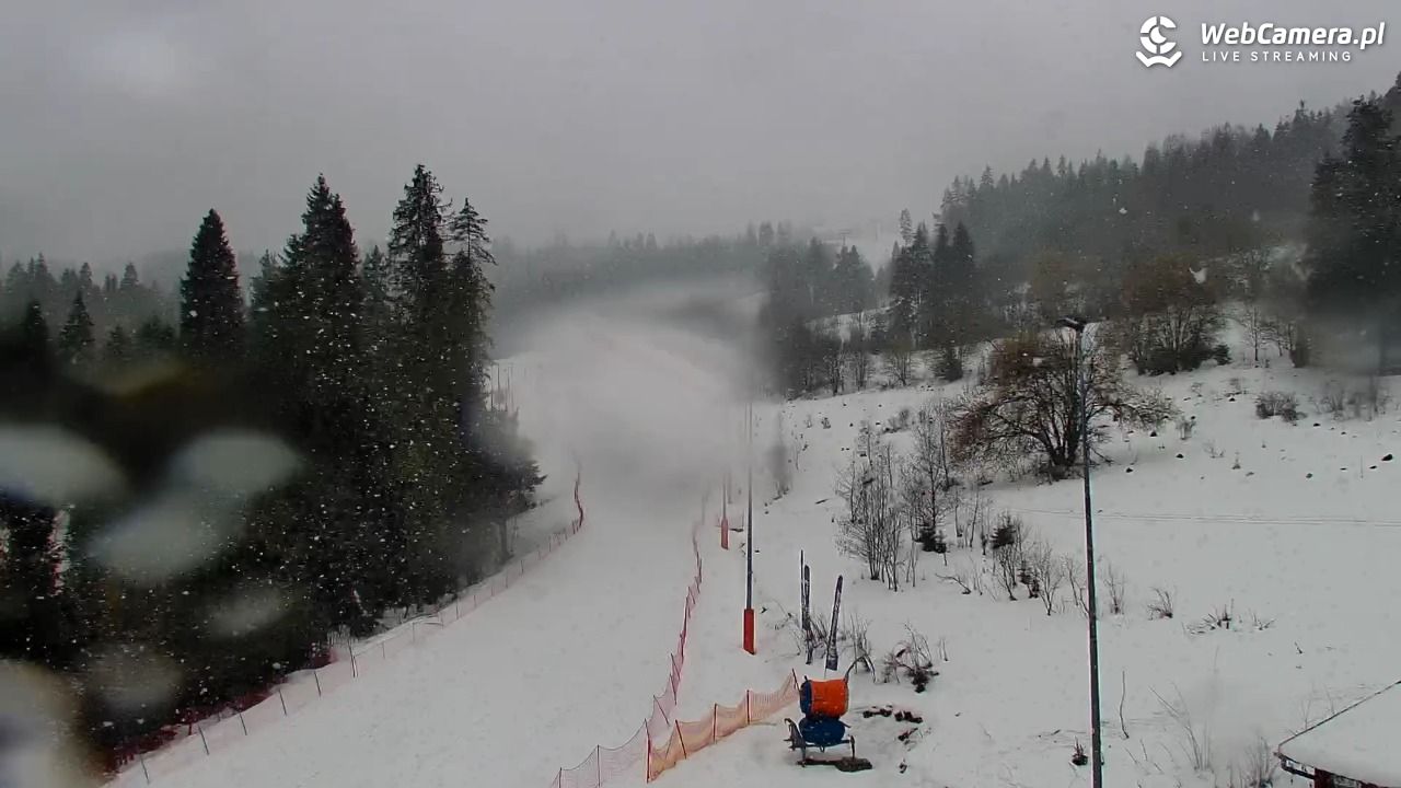 Kotelnica Białczańska - Remiaszów - 30 marzec 2026, 12:06