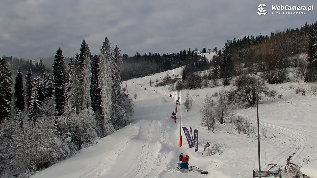 Kotelnica Białczańska - Remiaszów - 29 listopad 2025, 09:42