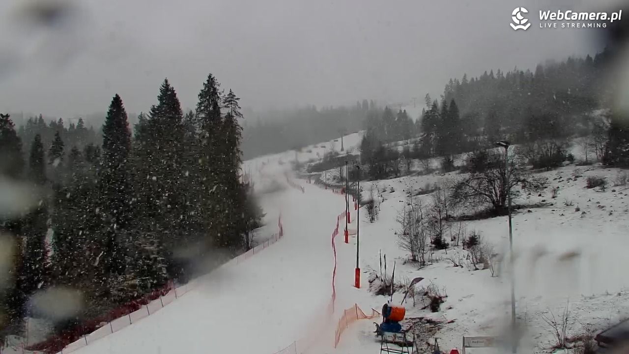 Kotelnica Białczańska - Remiaszów - 24 luty 2026, 07:49