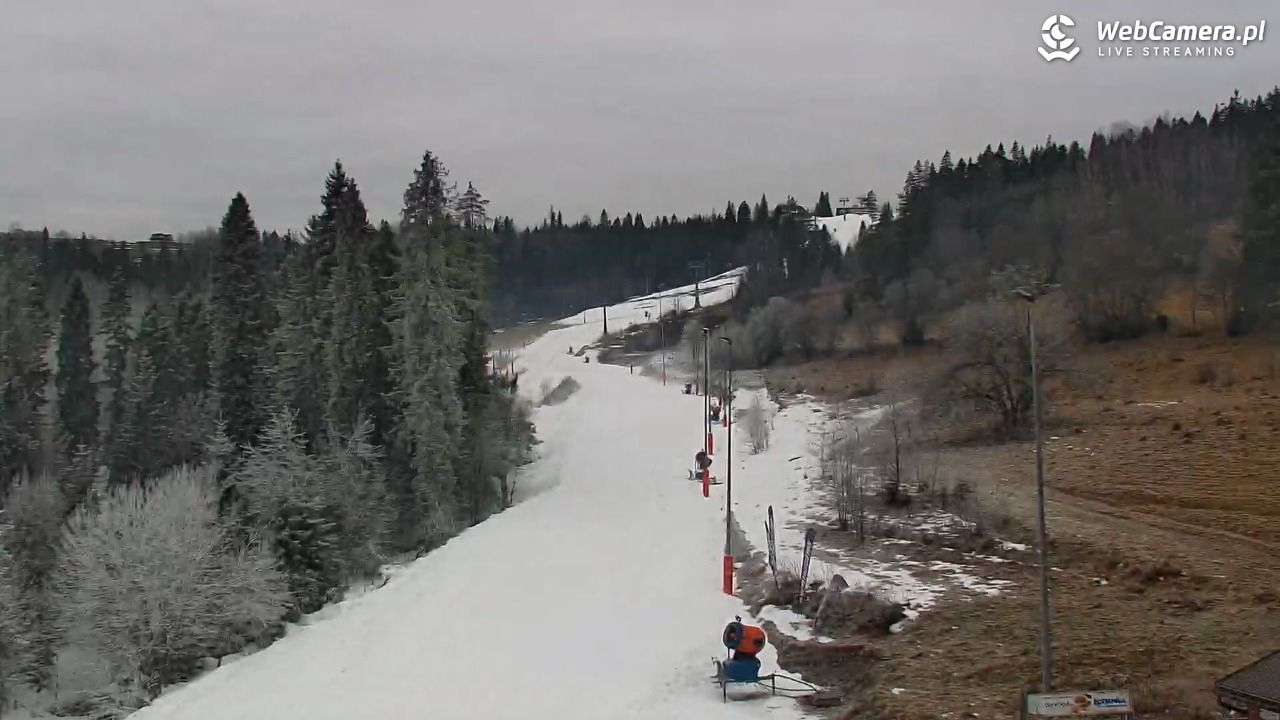 Kotelnica Białczańska - Remiaszów - 21 grudzień 2025, 09:51