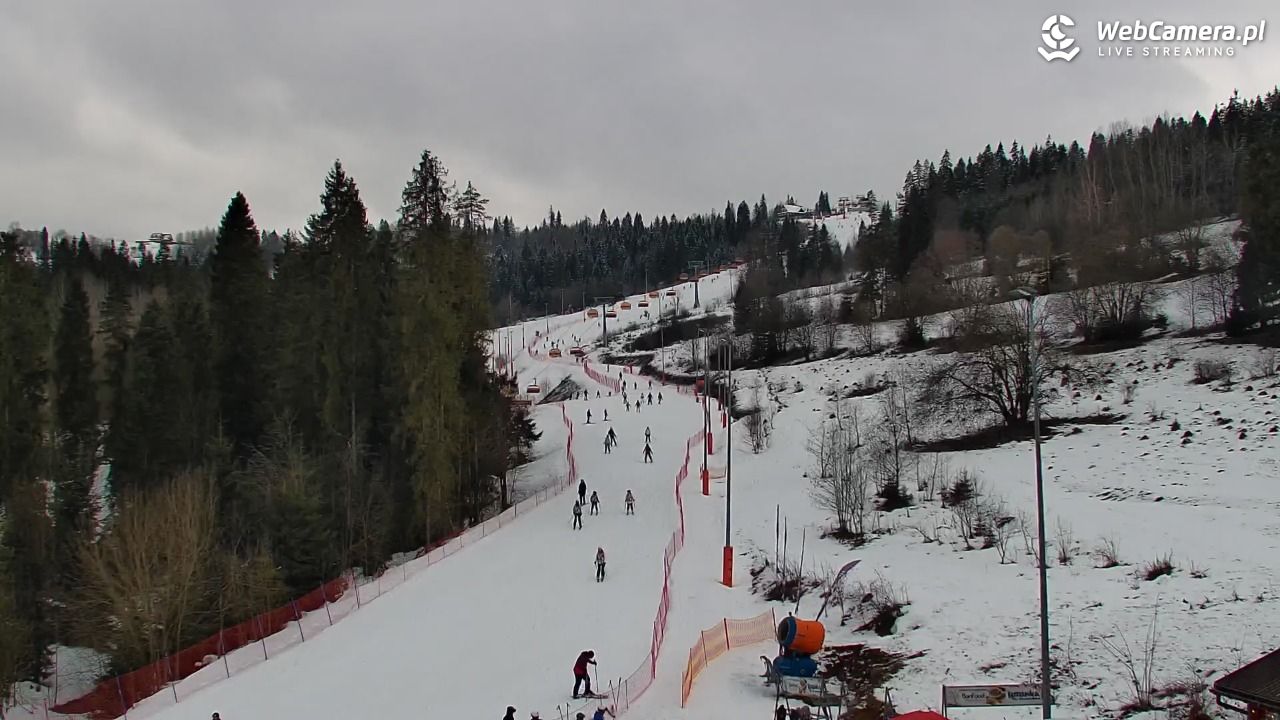 Kotelnica Białczańska - Remiaszów - 25 luty 2026, 12:59